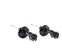 RIDEX 854S1999 Amortiguador