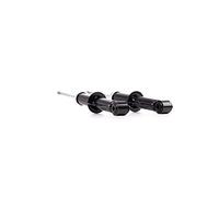 RIDEX 854S2084 2x Amortiguador Trasero Compatible con MINI Hatchback R50, R53