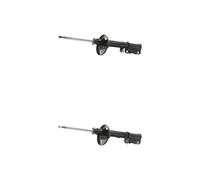 RIDEX 854S21160 Amortiguador