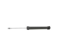 RIDEX 854S2137 2x Amortiguador Trasero Compatible con VW Polo V Hatchback 6R1, 6C1