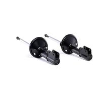 RIDEX 854S2231 Amortiguador