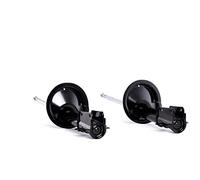 RIDEX 854S2354 2x Amortiguador Delantero Compatible con FIAT Scudo Familiar 220
