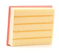 RIDEX 8A0002 Filtro de aire rectangular Filtro de recirculación aire compatible con VW GOLF II 19E, 1G1 GOLF III 1H1 Golf IV Hatchback 1J1 Transporter T5 Furgoneta 7HA, 7HH, 7EA, 7EH TOURAN 1T1, 1T2