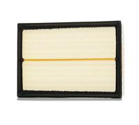 RIDEX 8A0022 Filtro de aire Cartucho filtrante Filtro de recirculación aire compatible con VW Polo IV Hatchback 9N, 9A Golf Plus/Crossgolf 5M1, 521, MERCEDES-BENZ Sprinter 5-T Caja/Chasis W906