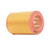 RIDEX 8A0134 Filtro de aire Cartucho filtrante & Filtro de recirculación aire