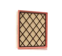 RIDEX 8A0171 Filtro de aire