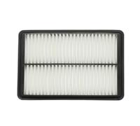 RIDEX 8A0539 Filtro de aire rectangular Filtro de recirculación aire compatible con HYUNDAI SONATA V NF SONATA VI YF GRANDEUR TG