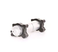 RIDEX 9F0065 Filtro combustible Filtro de Combustible para BMW 3 Sedán (E46)