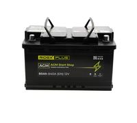 RIDEX PLUS 1S0013P Batería