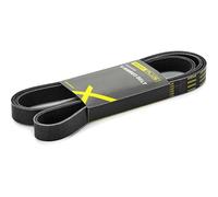 RIDEX PLUS 305P0107P Correa trapecial poli V Correa Poly V Correa poli V Correa de accesorios
