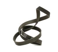 RIDEX PLUS 305P0138P Correa trapecial poli V Correa Poly V Correa poli V Correa de accesorios compatible con VW Polo V Hatchback 6R1, 6C1 GOLF VI 5K1 GOLF III 1H1 TOURAN 1T3 Golf III Cabrio 1E7