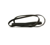 RIDEX PLUS 305P0365P Correa trapecial poli V
