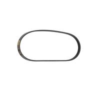 RIDEX PLUS 305P0437P Correa trapecial poli V