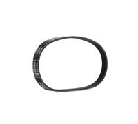 RIDEX PLUS 305P0502P Correa trapecial poli V