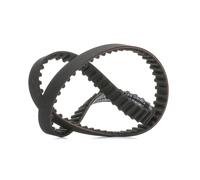 RIDEX PLUS 306T0024P Correa dentada