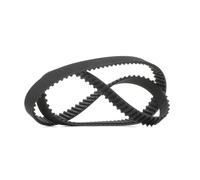 RIDEX PLUS 306T0307P Correa dentada