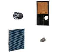 RIDEX PLUS 4055F0576P Kit de filtros