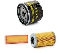 RIDEX PLUS 4055F8766P Kit de filtros