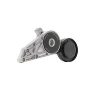 RIDEX PLUS 540T0020P Brazo tensor, correa poli V