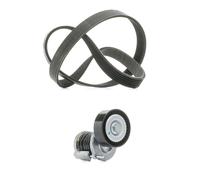 RIDEX PLUS 542R0008P Juego de correas trapeciales poli V