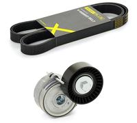 RIDEX PLUS 542R0025P Juego de correas trapeciales poli V