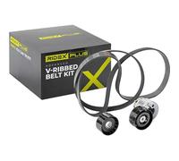 RIDEX PLUS 542R0055P Juego de correas trapeciales poli V Compatible con RENAULT LAGUNA III Grandtour KT0/1