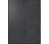 rido/idé Agenda de libro modelo Mentor (2025), 1 página = 1 día, A5, 352 páginas, portada Miradur, color negro