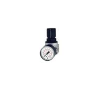 RIEGLER 100339-R 05-10 - Regulador de presión multifix-mini, incluye Mano, BG 0, G 1/8, 0,5-10 bar, 1 unidad
