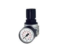 RIEGLER 100340-R 05-16 - Regulador de presión multifix-mini, incluye Mano, BG 0, G 1/8, 0,5-16 bar, 1 unidad