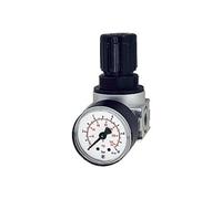 RIEGLER 100343-R 06-10 - Regulador de presión multifix-mini, incluye Mano, BG 0, G 1/4, 0,5-10 bar, 1 unidad