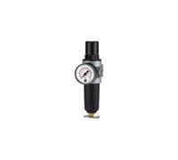 RIEGLER 100356-C 06 M - Regulador de filtro multifix-mini, recipiente de metal, G 1/4, 0,5-10 bar, 1 unidad