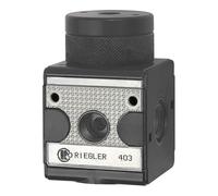 RIEGLER 100462-RI 11 - Regulador de presión neumático, control remoto, BG 1, G 1/4, 1 unidad