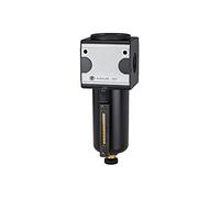RIEGLER 100538-FM 33 M - Microfiltro multifix con depósito de metal, 0,01 µm, BG 3, G 1/2, 1 unidad