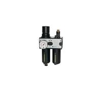 RIEGLER 100577-CL 12 M-SR - Unidad de mantenimiento (2 piezas, con depósito de metal, BG 1, G 3/8, 1 unidad)
