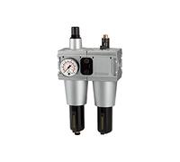 RIEGLER 100580-CL 55 M-SR - Unidad de mantenimiento (2 piezas, con depósito de metal, BG 5, G 1, 1 unidad)