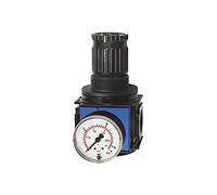 RIEGLER 100644-VR 53 - Regulador de presión variobloc, incluye manómetro, BG 2, G 3/4, 0,5-10 bar, 1 unidad