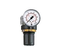 RIEGLER 100779-482.20 D - Regulador de presión "Standard mini", tuerca para panel, G 1/4, 0,5-16 bar, 1 unidad