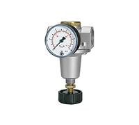 RIEGLER 100823-637.45 C - Regulador de presión estándar (incluye manómetro, BG 3, G 1, 0,5-10 bar, 1 unidad
