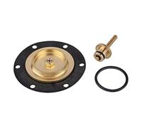 RIEGLER 100910-22.753.4 - Juego de piezas de desgaste para regulador de presión constante, BG 2, 1 unidad