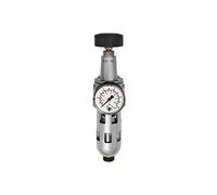 RIEGLER 100928-578.020 S - Regulador de filtro estándar para ordenador y cesta de protección, BG 1, G 1/4, 1 unidad