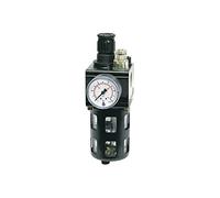 RIEGLER 101105-811.14 S - Unidad de mantenimiento combinado con cesta de protección, BG 2, G 3/4, 0,5-16 bar, 1 unidad