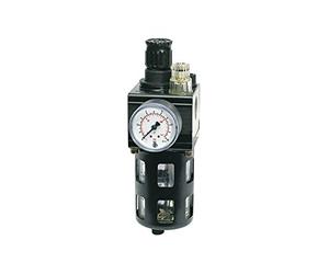 RIEGLER 101105-811.14 S - Unidad de mantenimiento combinado con cesta de protección, BG 2, G 3/4, 0,5-16 bar, 1 unidad