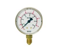 RIEGLER 101293-420 Manómetro Argon, G 1/4 radial inferior, 0-30 l/min (10 bar), diámetro 63, 1 unidad