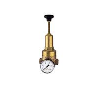 RIEGLER 101440-400.04 DRV 225, versión de alta presión, G 3/4, 1,5-20 bar, 1 unidad