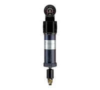 RIEGLER 101551-429.2612 - Prefiltro con manómetro de presión diferencial, 2 µm, G 2, 1 unidad