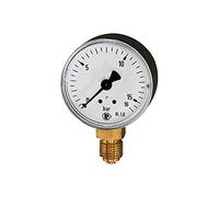 RIEGLER 101704-6302-K - Manómetro estándar, plástico, G 1/4 inferior, -1/+0,6 bar, diámetro 63, 1 unidad