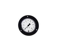 RIEGLER 101890-320/50 Standard Mano, anillo delantero negro, G 1/4 trasero, 0-1,0 bar, Ø 50, 1 pieza
