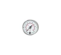 RIEGLER 102432-4145 Standard Hando, acero CrNi, G 1/4 central trasero, 0-6,0 bar, diámetro de 40 cm, 1 unidad