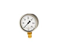 RIEGLER 102518-5841 - Manómetro de resorte, acero, G 1/4 radial inferior, 0-60 mbar, diámetro 63, 1 unidad