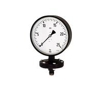 RIEGLER 102584-PL 1901 - Pluma de placa de resorte, resistente, G 1/2 radial inferior, -1/+1,5 bar, diámetro de 100, 1 unidad